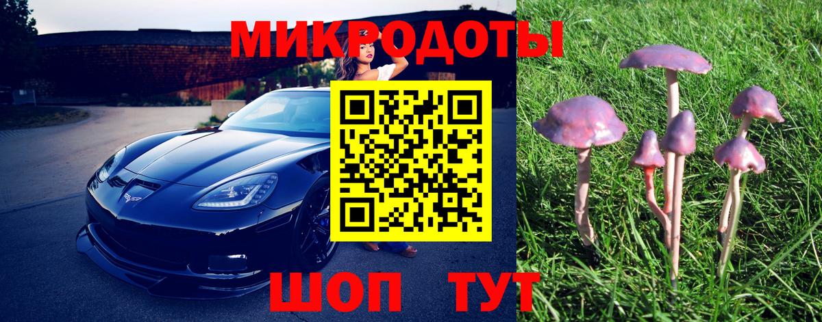 Луга  Псилоцибиновые грибы Cubensis  Вход с VPN 